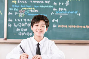 北京市通州區私立樹人學校排名