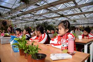 北京中加學校怎么樣