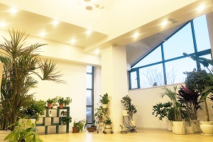 泛洋文華學校國際高中招生政策