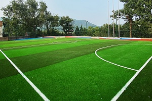 гꖅ^(q)յW(xu)У(dng)