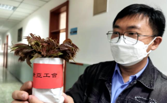 北京市朝陽區正源新亞學校工會“春日,椿情”