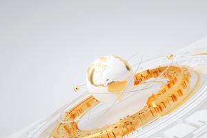 金融管理專業大專畢業干什么?