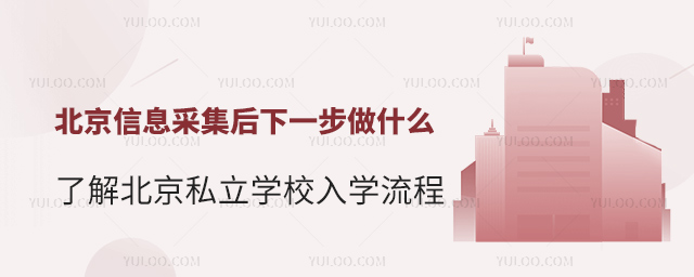 北京信息采集后下一步做什么