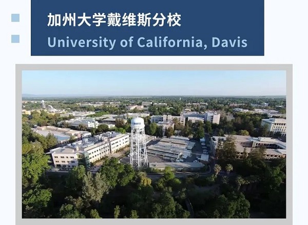 北京波士頓衛星學校-諾維學院錄取數據