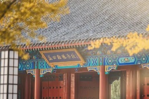 OPEN DAY | ﺲW(xu)УOSSDHn(xing)ĿУ@_\c