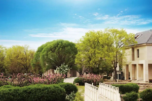 昌平區(qū)政協(xié)副主席、區(qū)委教育工委書記王建調(diào)研北京東方紅學校黨建工作