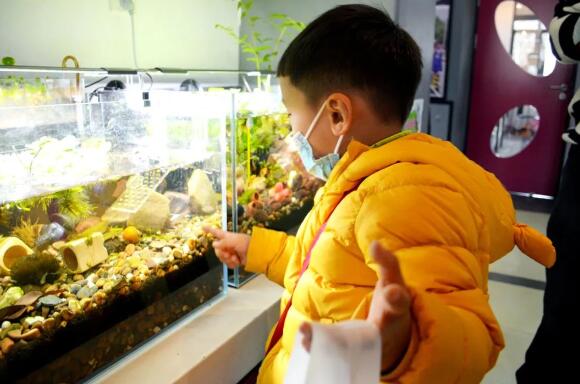 天津黑利伯瑞國際學校小學預備營實拍圖4