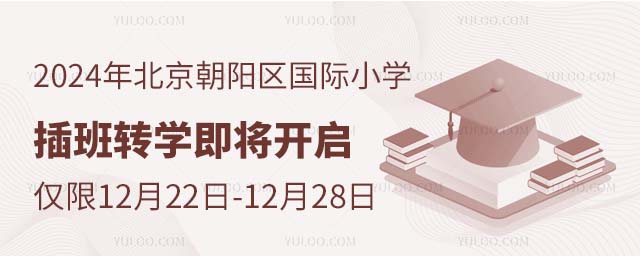 2024年北京朝陽區(qū)國際小學插班轉學即將開啟