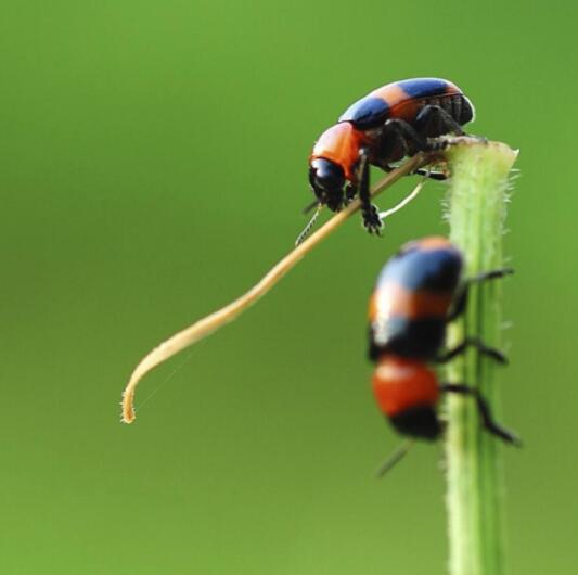 青苗學校常營校區課外課5