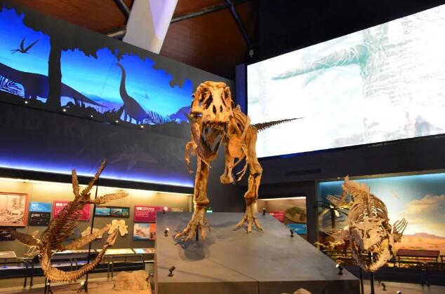 北京四中國際課程佳蓮校區項目式教學-國家海洋博物館游5