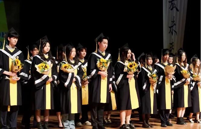 北京市朝陽區(qū)凱文學校藝術課程項目