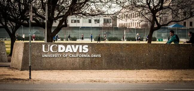 北京四中國際課程佳蓮校區錄取院校