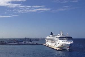 四川有哪些國(guó)際郵輪乘務(wù)管理專(zhuān)業(yè)職校?