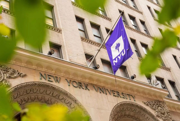 紐約大學