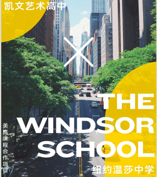 朝陽凱文美國溫莎藝術高中項目