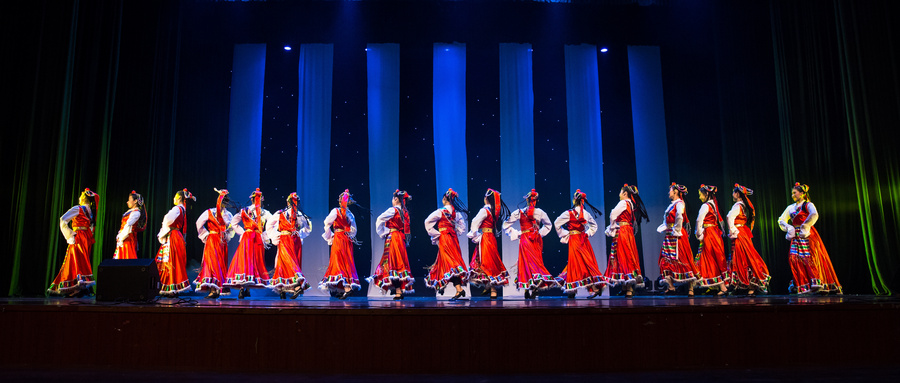 2024年上海表演專業(yè)大學一覽