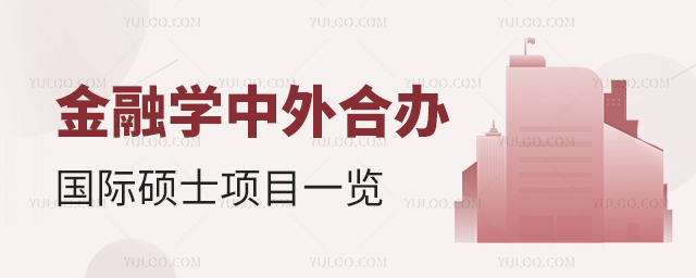 金融學(xué)中外合辦國際碩士項目一覽