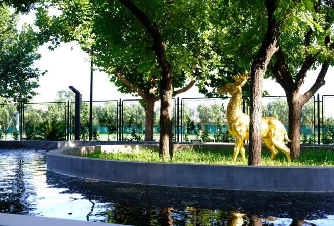 探校北京市通州區私立樹人學校