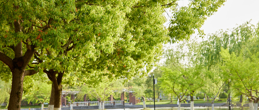 想學視覺傳達設計專業,北京哪個大學好?