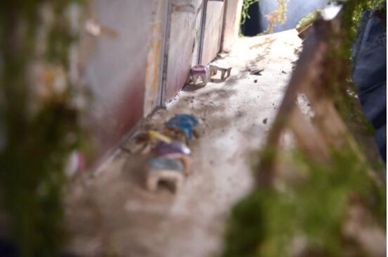 天津黑利伯瑞國際學校優秀畢業生