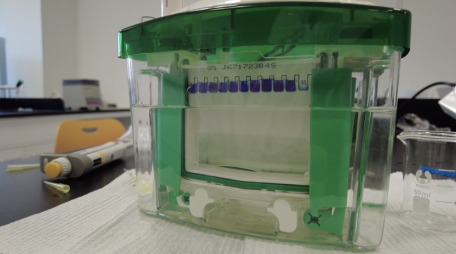 гꖅ^(q)PČWƄ(chung)Ŀg