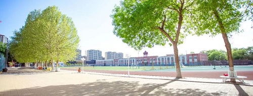 北京中加學(xué)校探校