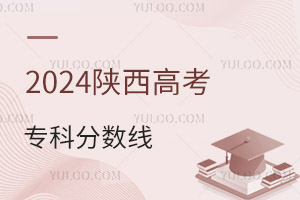 2024߿Ʒ?jn)?sh)Ƕ٣2019-2024?jn)?sh)