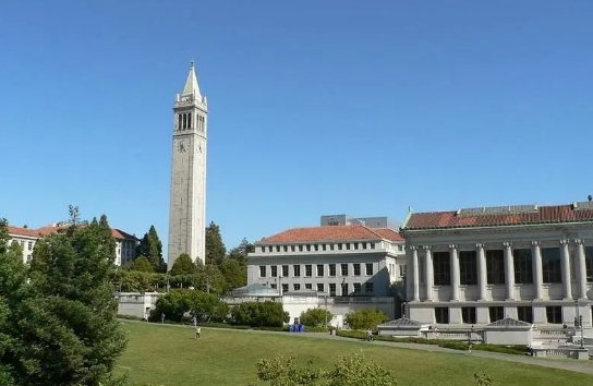 青苗優(yōu)秀畢業(yè)生:張一帆