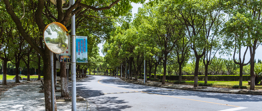 2024年高考多少分能上新疆輕工職業(yè)技術(shù)學(xué)院?附:2023年投檔參考分?jǐn)?shù)