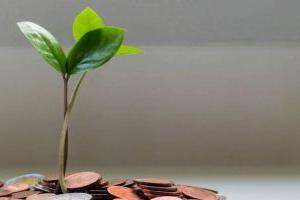 青苗學校(普高部)海淀校區于7月6日開展專場交流會！