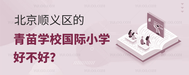 北京順義區的青苗學校國際小學好不好?.jpg