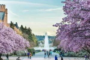 北京市朝陽區博雅學校可以自主招生嗎?了解學校招生方式!