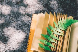 嶺南師范學(xué)院各專業(yè)每年學(xué)費多少錢？附學(xué)費一覽表