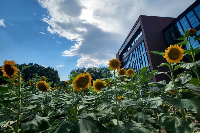 北京市朝陽區凱文學校校園環境