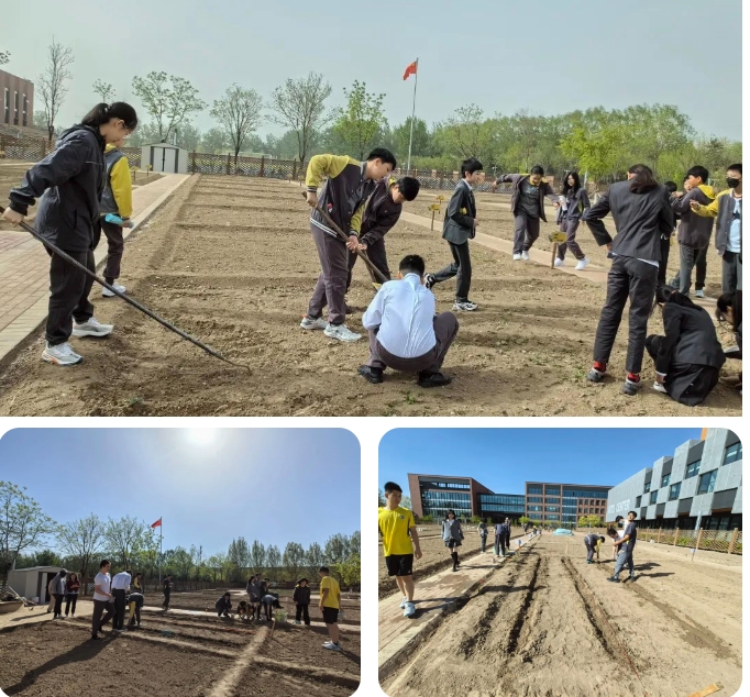 北京市朝陽區凱文學校種植園