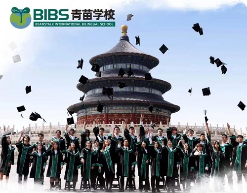 青苗學校DSE辦學優勢與招生要求