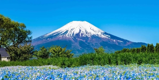 北京明德學院日語班