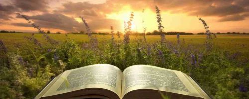 一年10W的中育貝拉國(guó)際高中