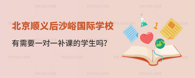 北京順義后沙峪國際學校有需要一對一補課的學生嗎