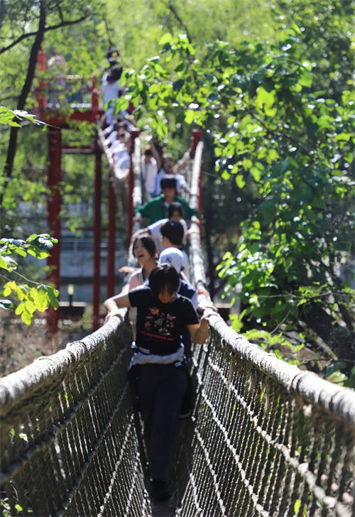 北外ICC戶外拓展課程——生存島探險