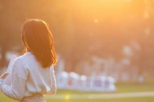 2024河北高考多少分能上石家莊信息工程職業學院？附招生專業