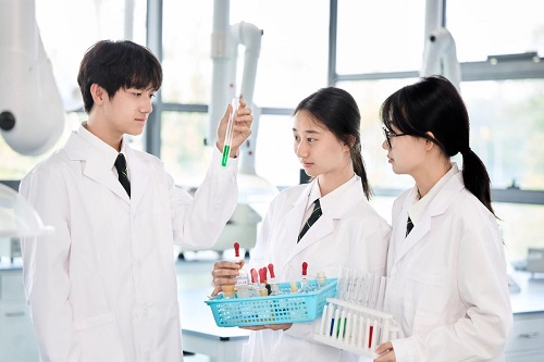 北京市私立匯佳國際賽事