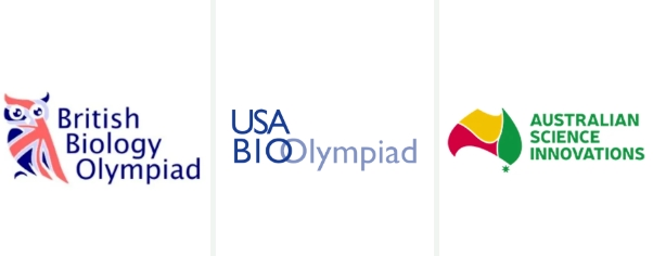 北京市私立匯佳國際賽事