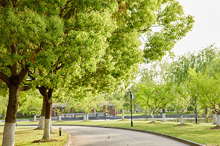 金融學在職研究生有必要考嗎?含金量高嗎?