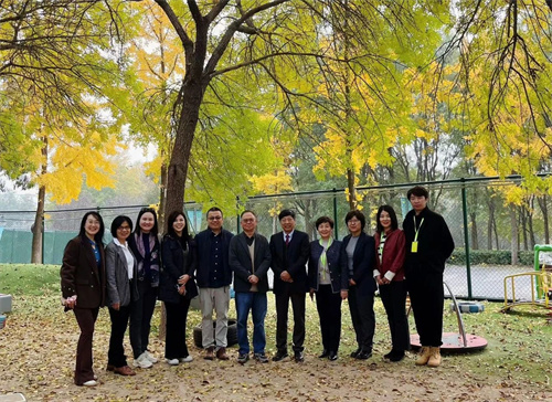 青苗DSE項目專家顧問