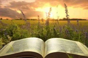 非京籍上北京東城區私立學校小升初入學政策