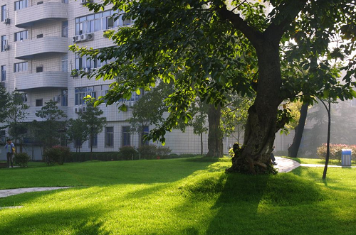 二十一世紀國際學校