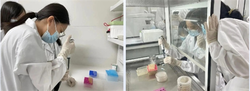 泰晤士高等教育攜手海嘉學校