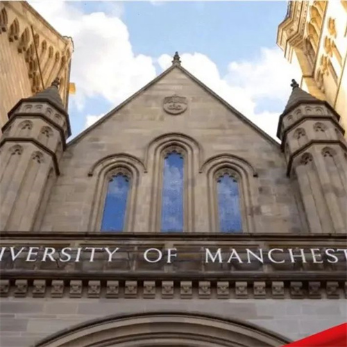 青苗學校早申錄取喜報