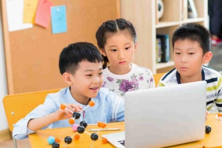 青苗學校2025學費